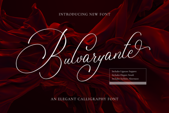 Bulvaryante: The Handwritten Typeface for Campaign Clarity