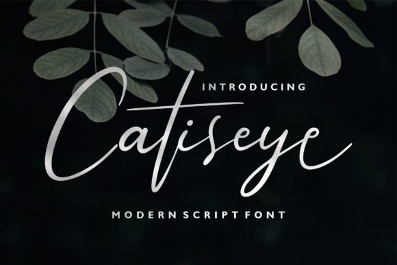 Catiseye: The Elegant Handwritten Font for Crafters and Sellers