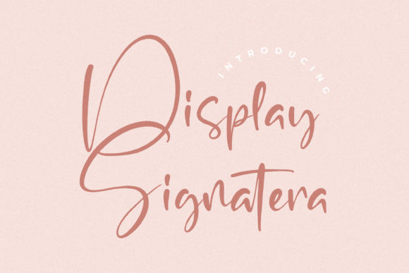 Display Signatera: A Designer’s Review for Campaign Visuals