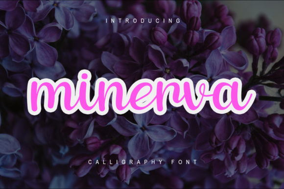 Minerva: The Playful Script Font for Scroll-Stopping Campaigns