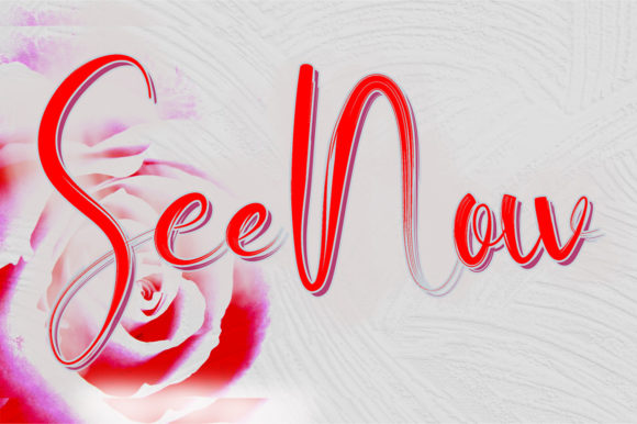 See Now: A Designer’s Honest Review of the Script Amp Typeface
