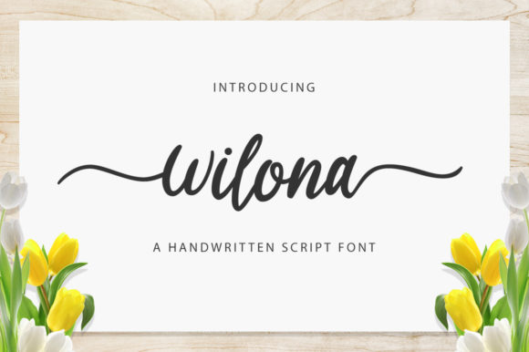 Wilona Font Review: A Designer’s Take on Script Amp